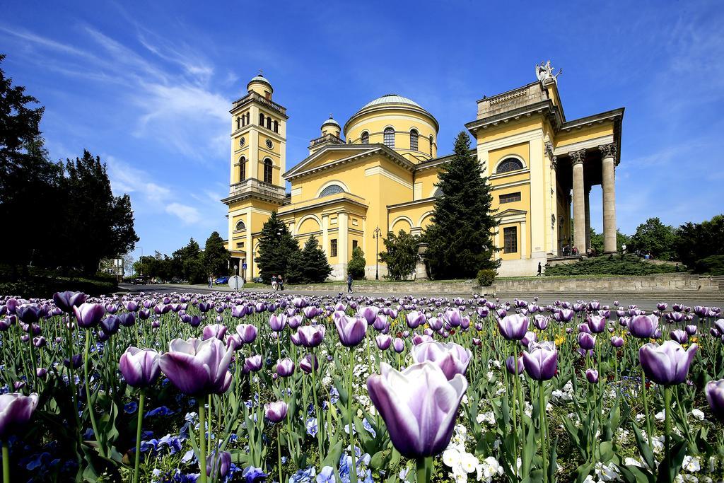 Nemes Apartman Eger Rom bilde